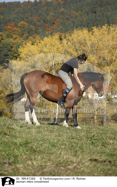 Frau reitet Islnder-Haflinger-Mix / woman rides crossbreed / RR-47389