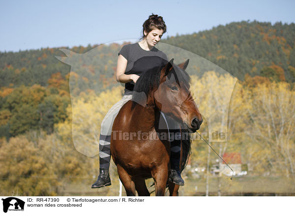 Frau reitet Islnder-Haflinger-Mix / woman rides crossbreed / RR-47390