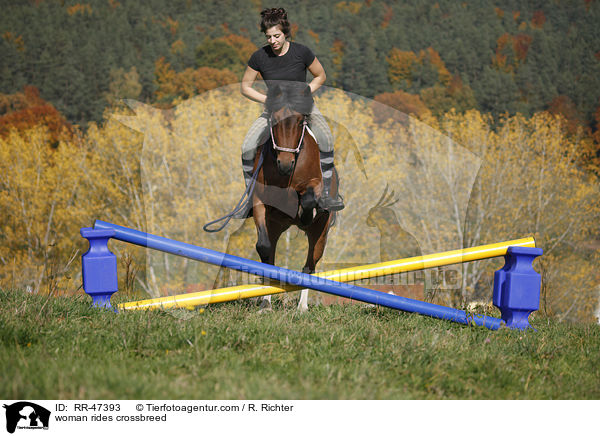 Frau reitet Islnder-Haflinger-Mix / woman rides crossbreed / RR-47393