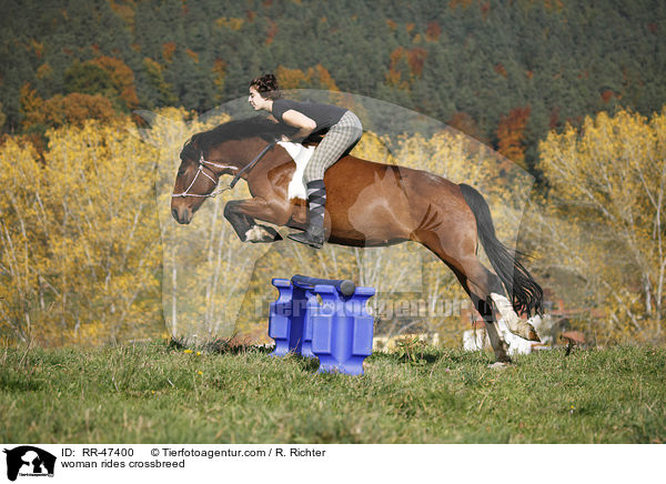 Frau reitet Islnder-Haflinger-Mix / woman rides crossbreed / RR-47400