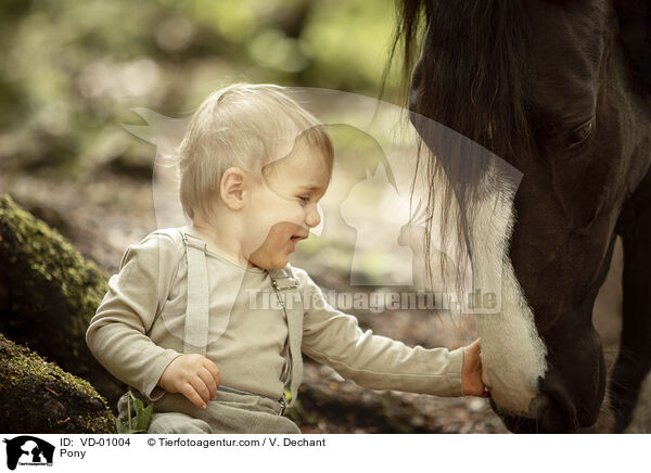 Pony / Pony / VD-01004