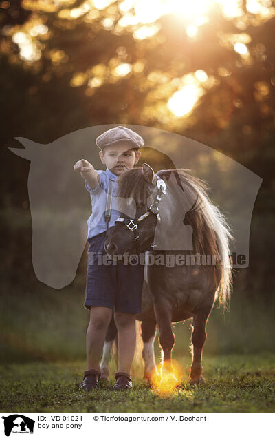 boy and pony / VD-01021