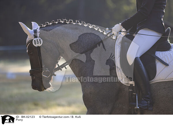 Pony / Pony / BK-02123