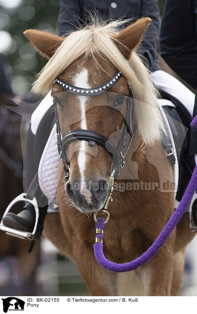 Pony / Pony / BK-02155
