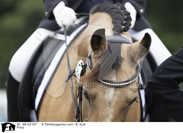 Pony / Pony / BK-02157