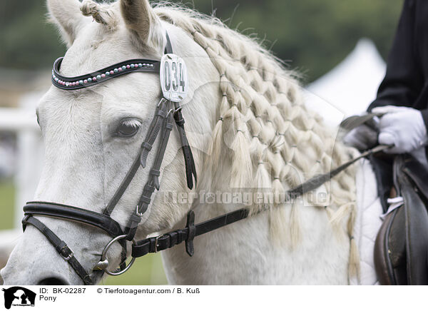 Pony / Pony / BK-02287