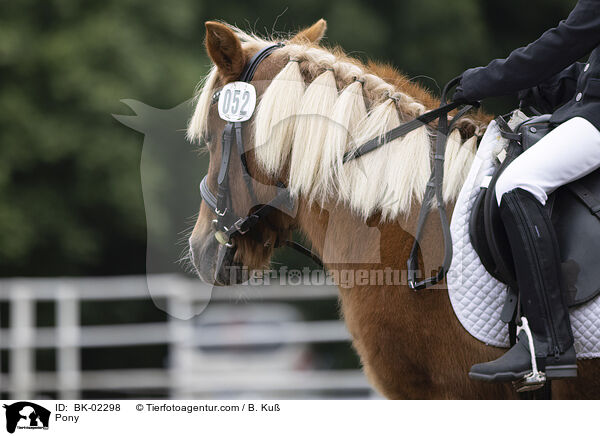 Pony / Pony / BK-02298