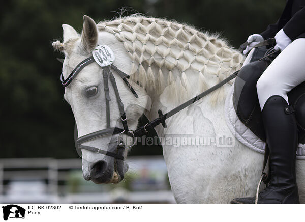 Pony / Pony / BK-02302