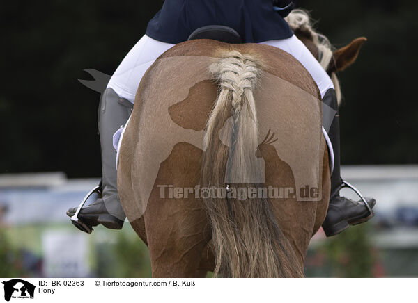 Pony / Pony / BK-02363