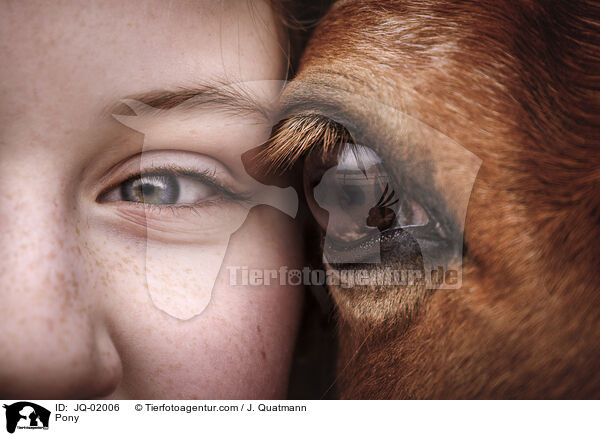 Pony / Pony / JQ-02006