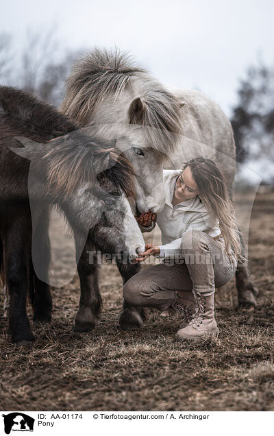 Pony / AA-01174