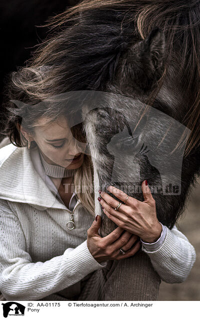 Pony / Pony / AA-01175