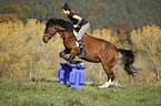 woman rides crossbreed