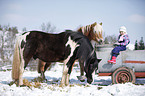 Ponies
