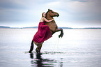 woman with Pony