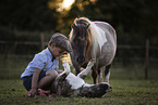 boy, dog and pony