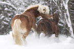 Ponies