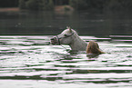 woman and pony