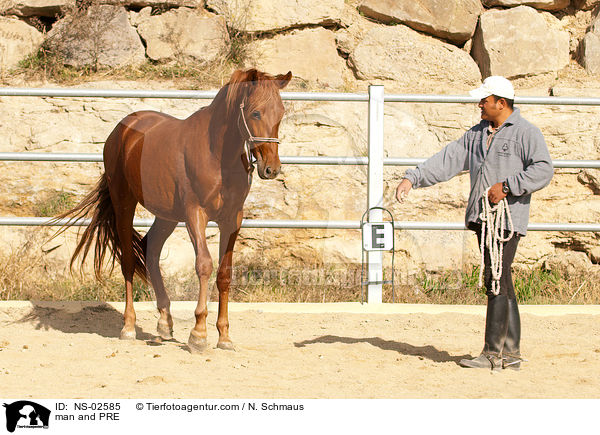 Mann und Pura Raza Espanola / man and PRE / NS-02585