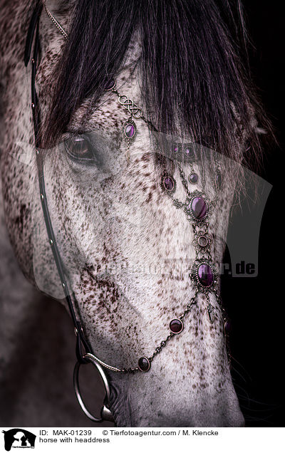 horse with headdress / MAK-01239