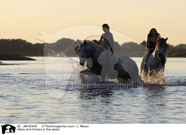 riders and horses in the water / JM-05405