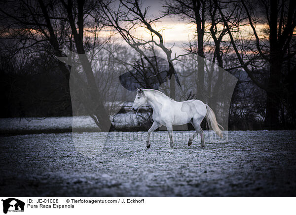 Pura Raza Espanola / Pura Raza Espanola / JE-01008