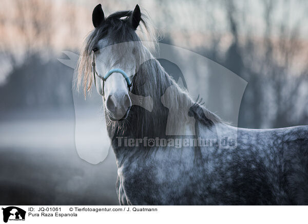 Pura Raza Espanola / Pura Raza Espanola / JQ-01061