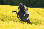 woman rides Pura Raza Espanola