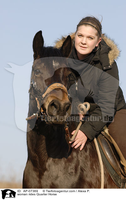 Frau reitet Quarter Horse / woman rides Quarter Horse / AP-07369