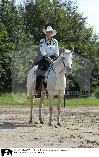 Frau reitet Quarter Horse / woman rides Quarter Horse / AP-07542