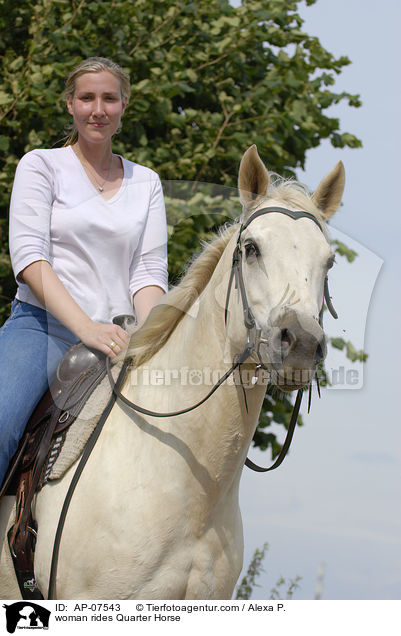 Frau reitet Quarter Horse / woman rides Quarter Horse / AP-07543