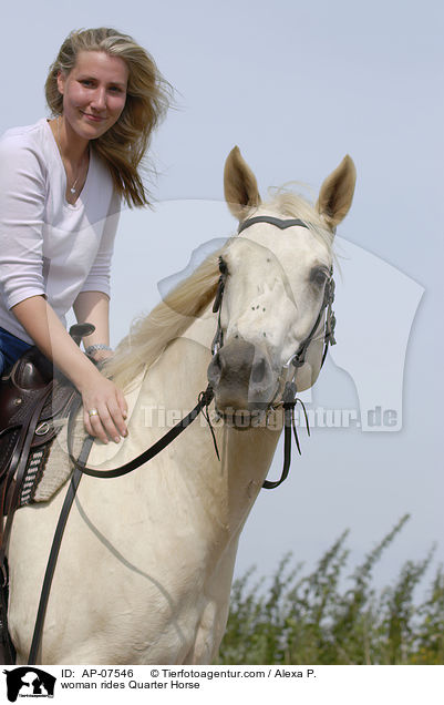 Frau reitet Quarter Horse / woman rides Quarter Horse / AP-07546