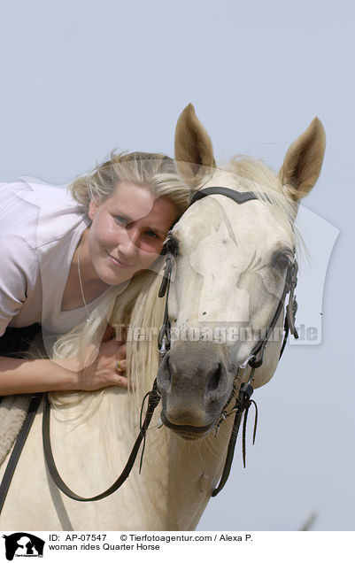 Frau reitet Quarter Horse / woman rides Quarter Horse / AP-07547