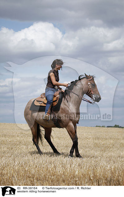 western riding horsewoman / RR-38164
