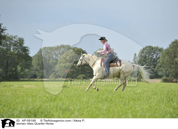 Frau reitet Quarter Horse / woman rides Quarter Horse / AP-09188