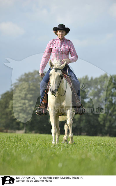 Frau reitet Quarter Horse / woman rides Quarter Horse / AP-09190