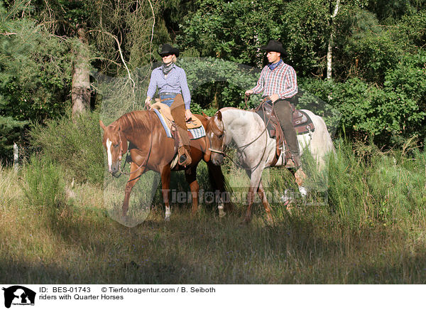 Reiter mit Quarter Horses / riders with Quarter Horses / BES-01743