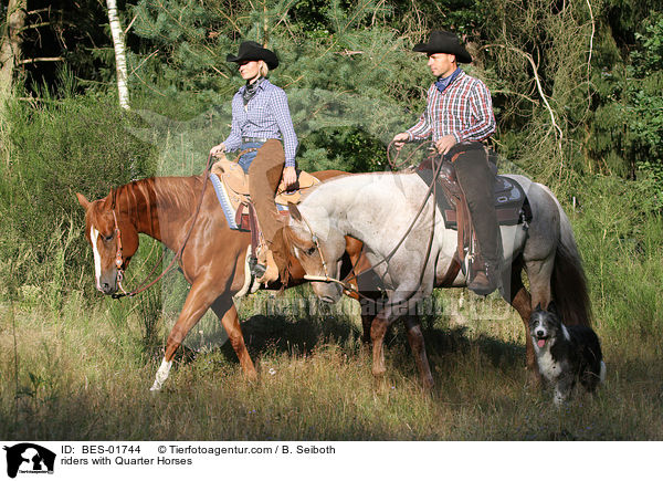 Reiter mit Quarter Horses / riders with Quarter Horses / BES-01744