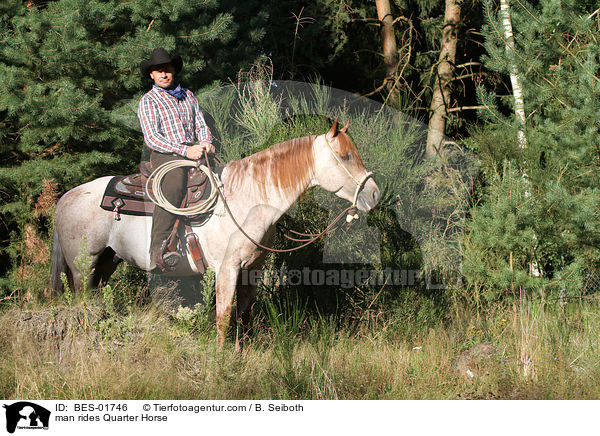 Mann reitet Quarter Horse / man rides Quarter Horse / BES-01746