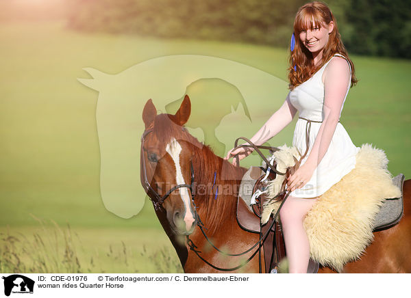 Frau reitet Quarter Horse / woman rides Quarter Horse / CDE-01976