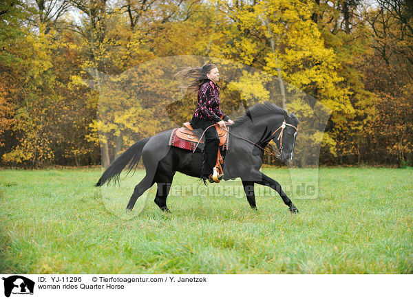 Frau reitet Quarter Horse / woman rides Quarter Horse / YJ-11296