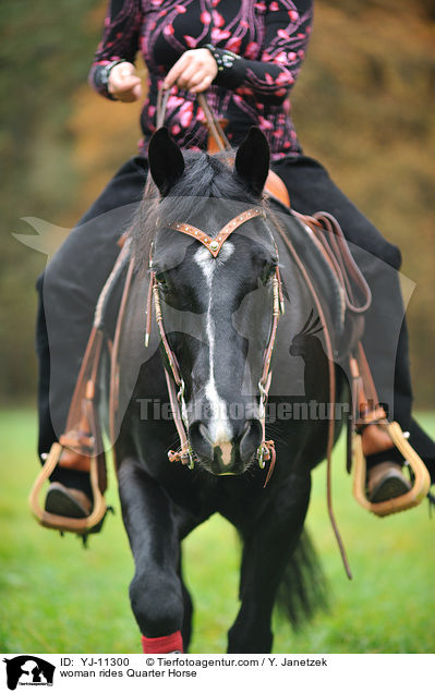 Frau reitet Quarter Horse / woman rides Quarter Horse / YJ-11300