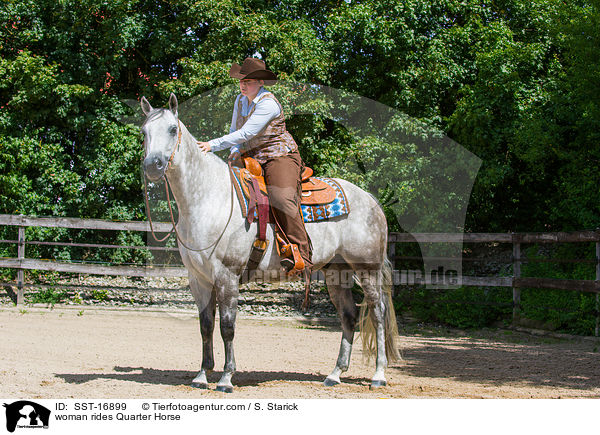 Frau reitet Quarter Horse / woman rides Quarter Horse / SST-16899