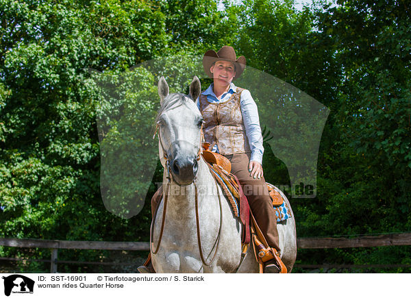 Frau reitet Quarter Horse / woman rides Quarter Horse / SST-16901