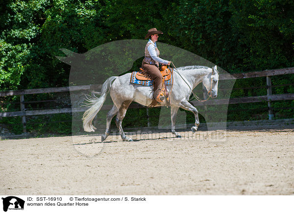 Frau reitet Quarter Horse / woman rides Quarter Horse / SST-16910