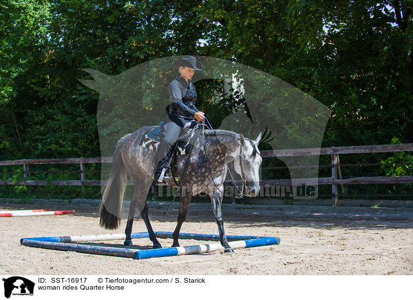 Frau reitet Quarter Horse / woman rides Quarter Horse / SST-16917