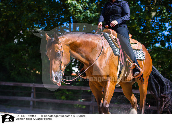 Frau reitet Quarter Horse / woman rides Quarter Horse / SST-16951