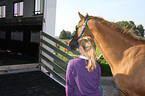 loading a Quarter Horse
