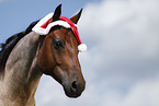 Quarter Horse with Santa Hat