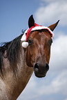 Quarter Horse with Santa Hat